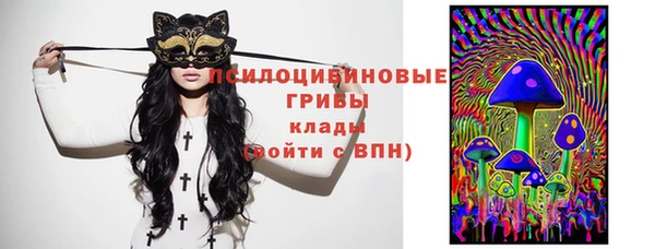 амф Осинники