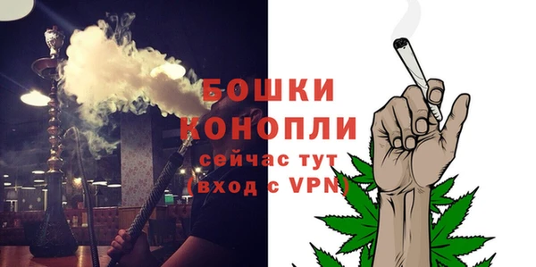 амф Осинники