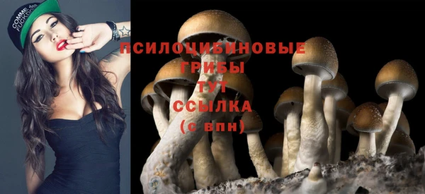 амф Осинники