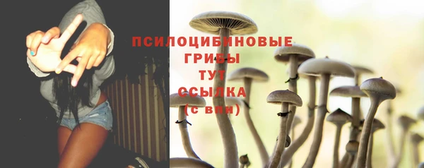 ГАЛЛЮЦИНОГЕННЫЕ ГРИБЫ Осташков