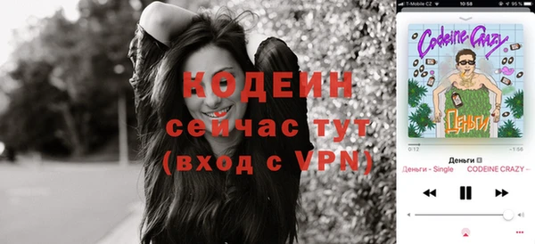 амф Осинники