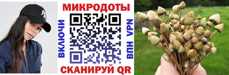 Псилоцибиновые грибы мухоморы Волоколамск