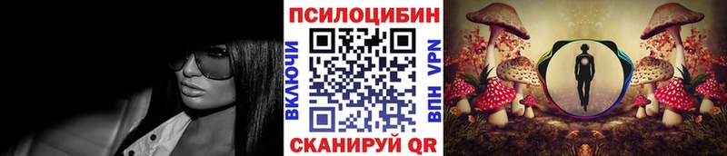 Галлюциногенные грибы Psilocybine cubensis  Волоколамск 