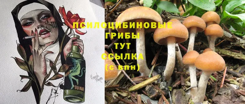 Галлюциногенные грибы MAGIC MUSHROOMS  Волоколамск 