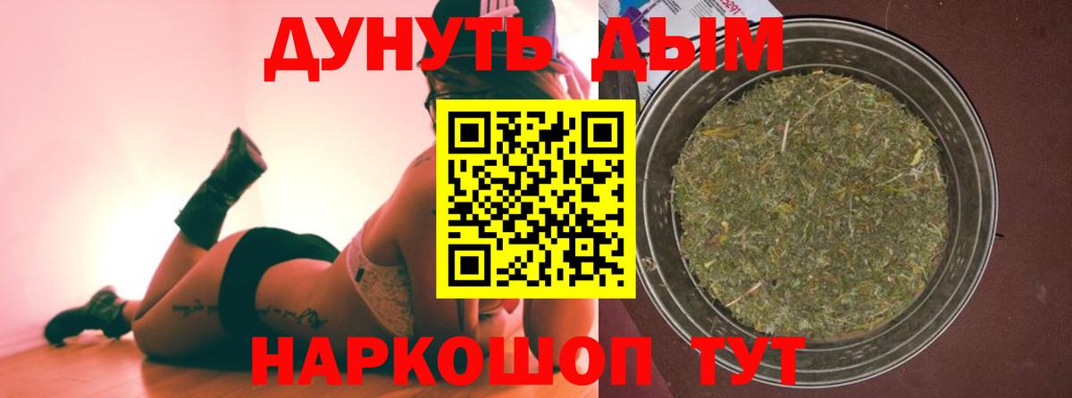 Канабис сатива Волоколамск